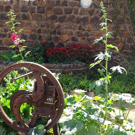 Kalahari Farmhouse Campsite Stampriet Zewnętrze zdjęcie